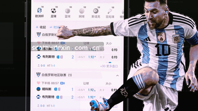 支持范围：合规、税务、知识产权