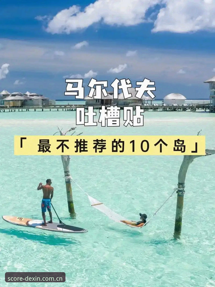 资深用户拆解：一份熟客才懂的信任榜单兼容版入口，哪些坑别踩
